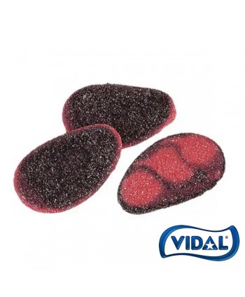 Vidal Mejillones Pica ...250 U